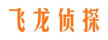 月湖市私家侦探